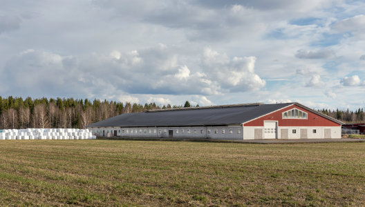 Pinta: valkoinen pesubetoni.